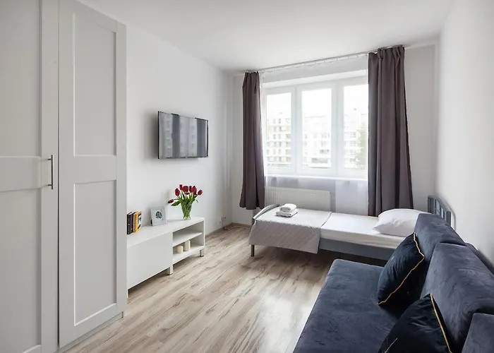 Sleepy3city 10 Lutego 23